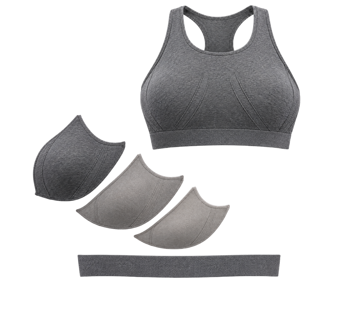 Exploded view of the Sports Bra showing the cup, the internal layer stack and the underband, on a transparent background